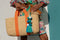 Dumpling Bag