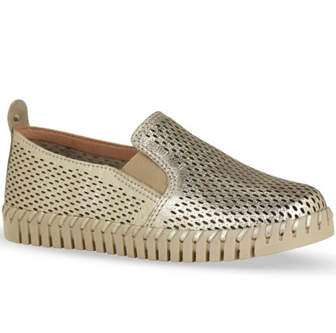 Bottwister Roma Sneaker