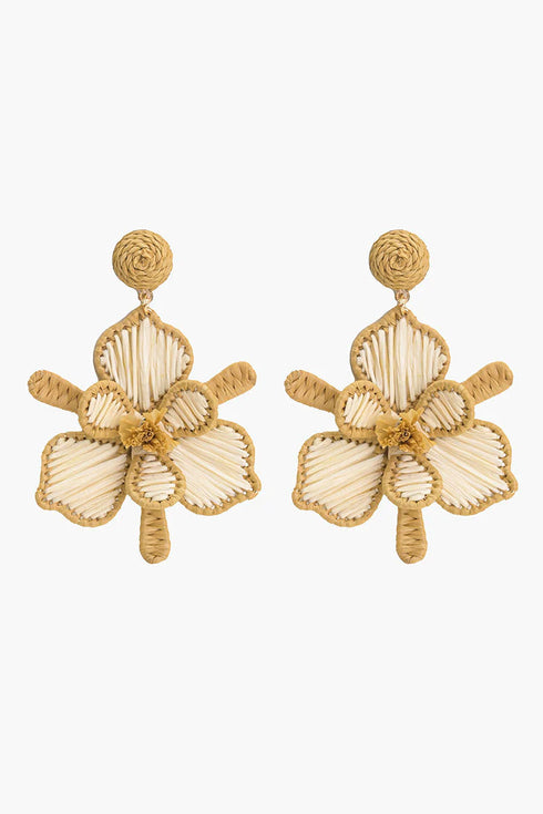 Tropic Like It's Hot Earrings